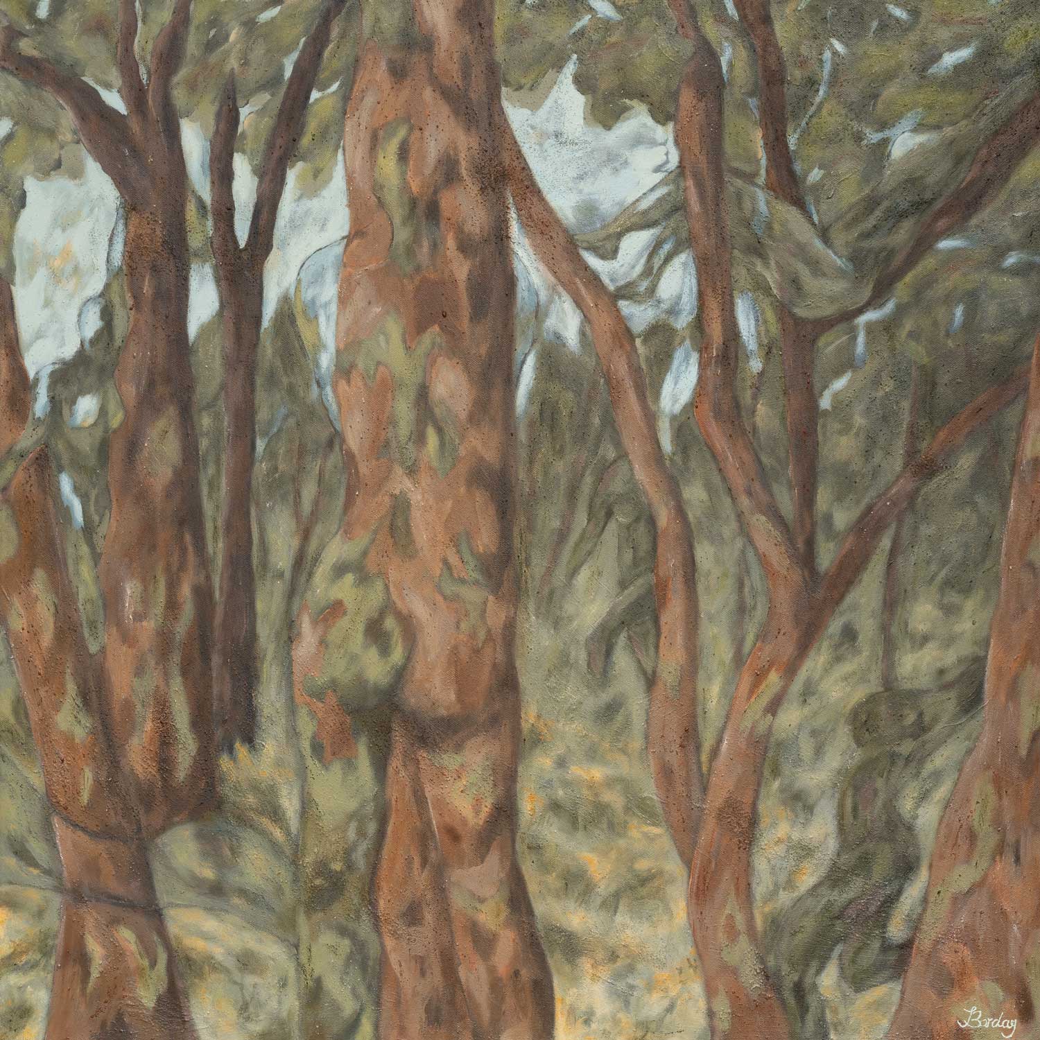 Amongst Tall Trees / Fine Art Print