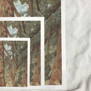 Amongst Tall Trees / Fine Art Print